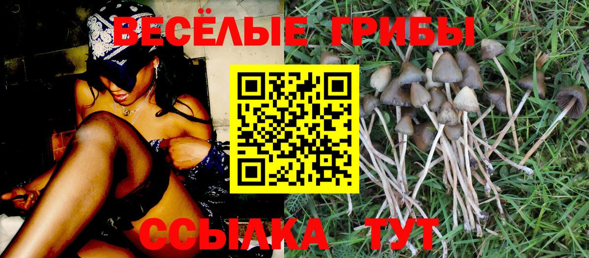 Псилоцибиновые грибы MAGIC MUSHROOMS Тверь